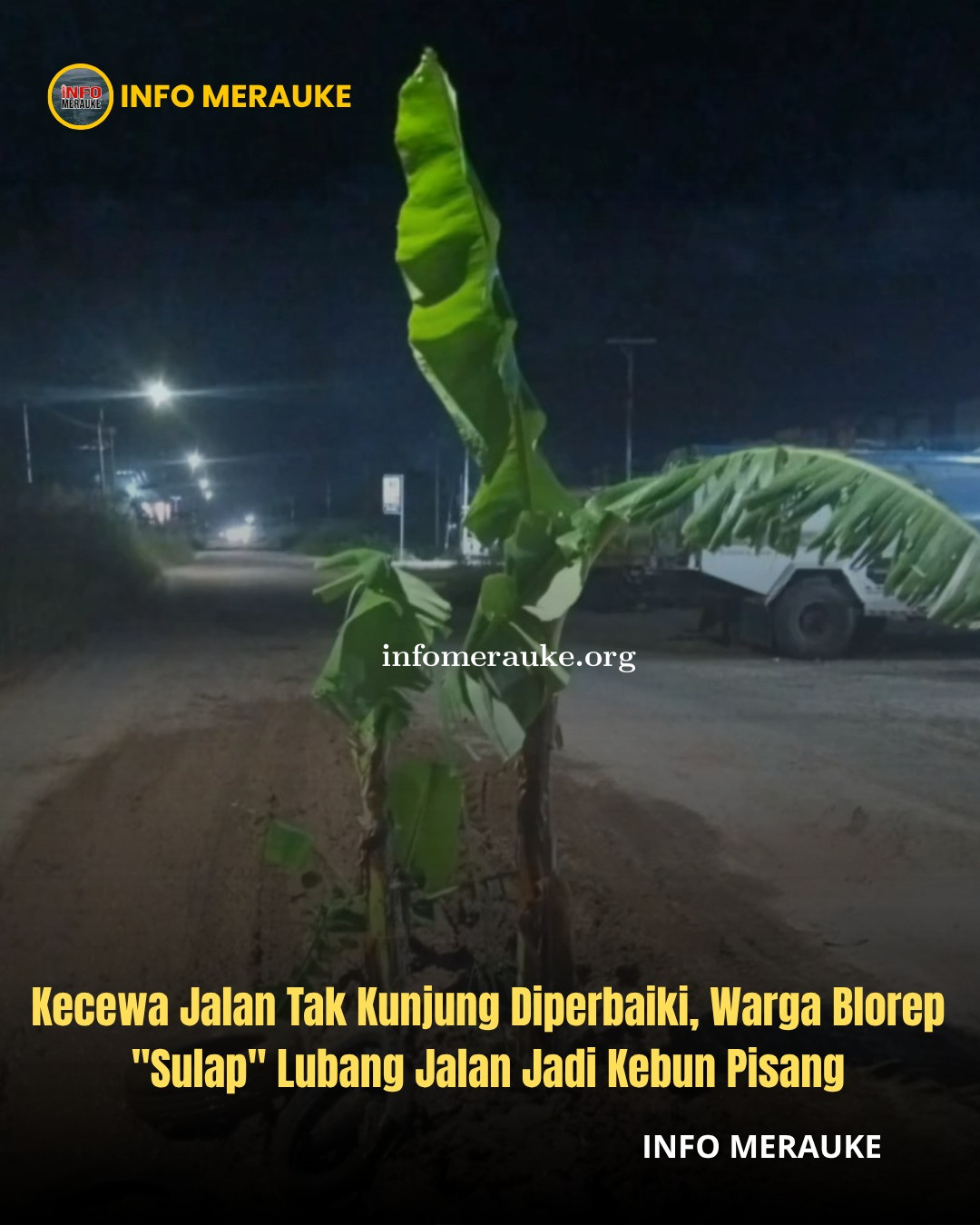 Kecewa Karena Jalan Tidak Kunjung Di Perbaiki, Warga Sulap Jalan Jadi Kebun Pisang